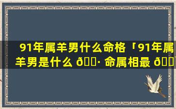 91年属羊男什么命格「91年属羊男是什么 🕷 命属相最 🌹 配对」